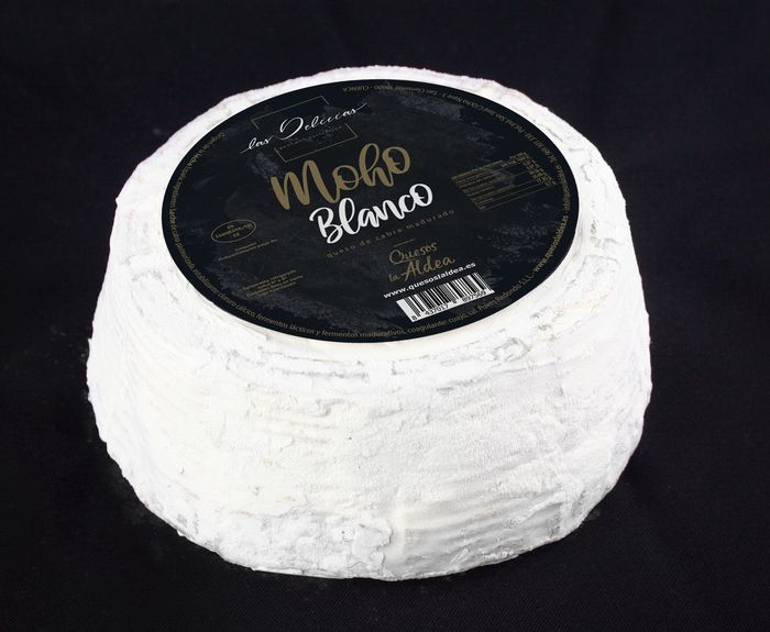 QUESO CABRA MOHO BLANCO